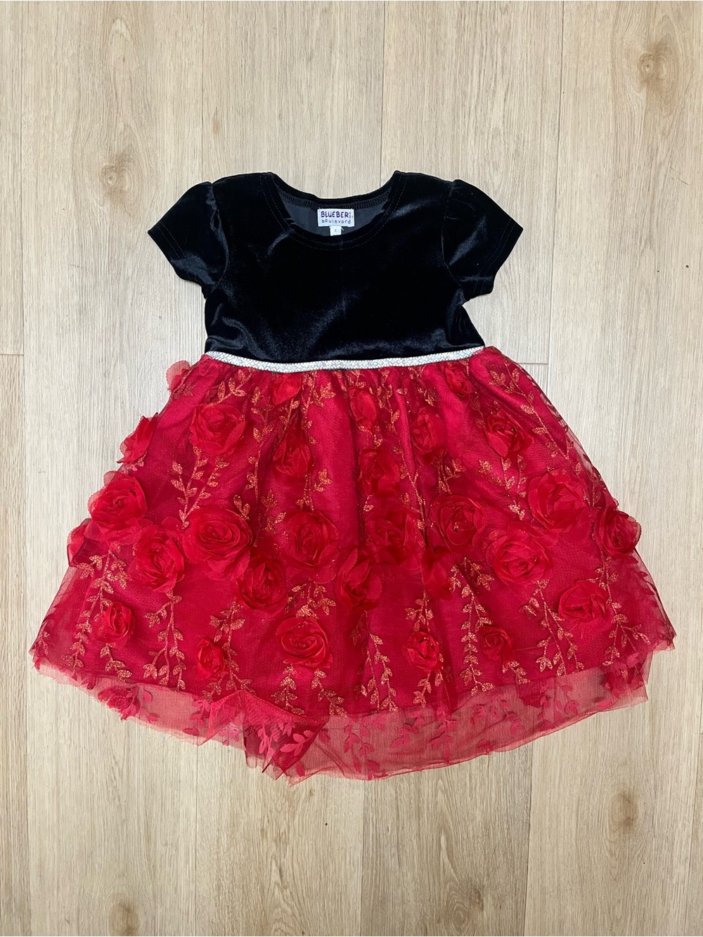 Blueberi Boulevard Black and Red Velvet Floral Tulle Party Dress